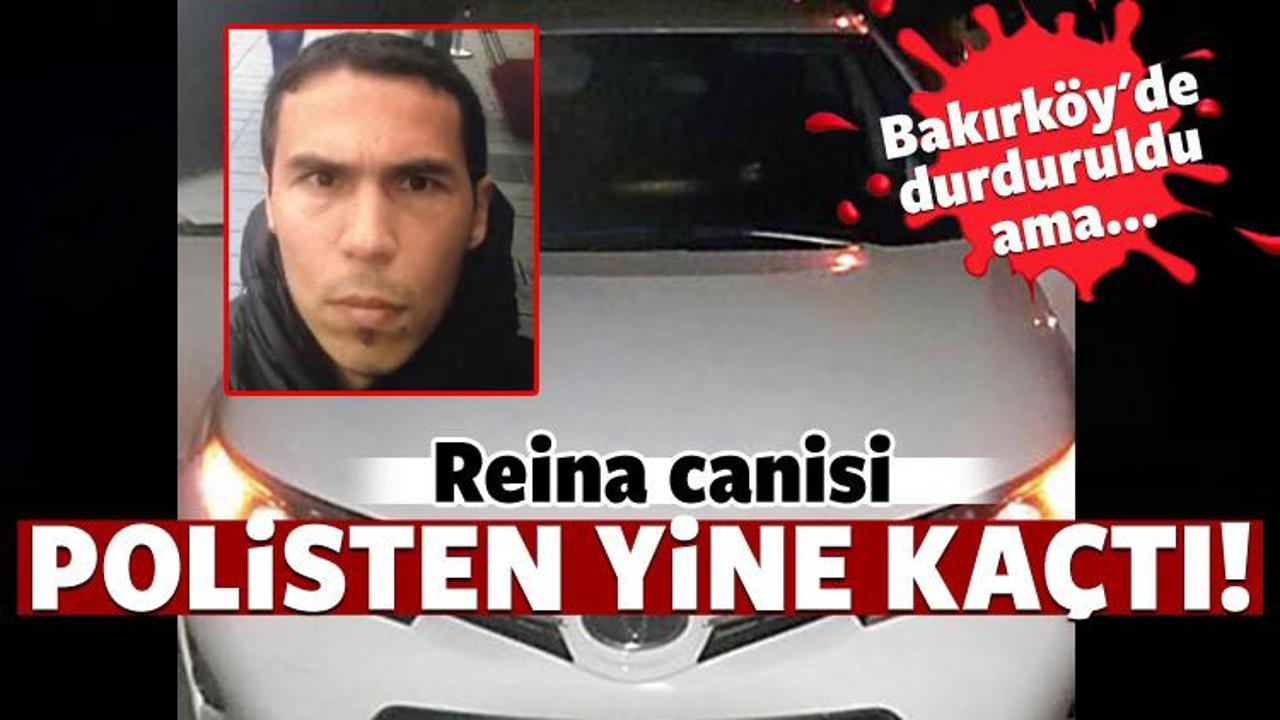 "Reina canisi polisten yine kurtuldu" iddiası