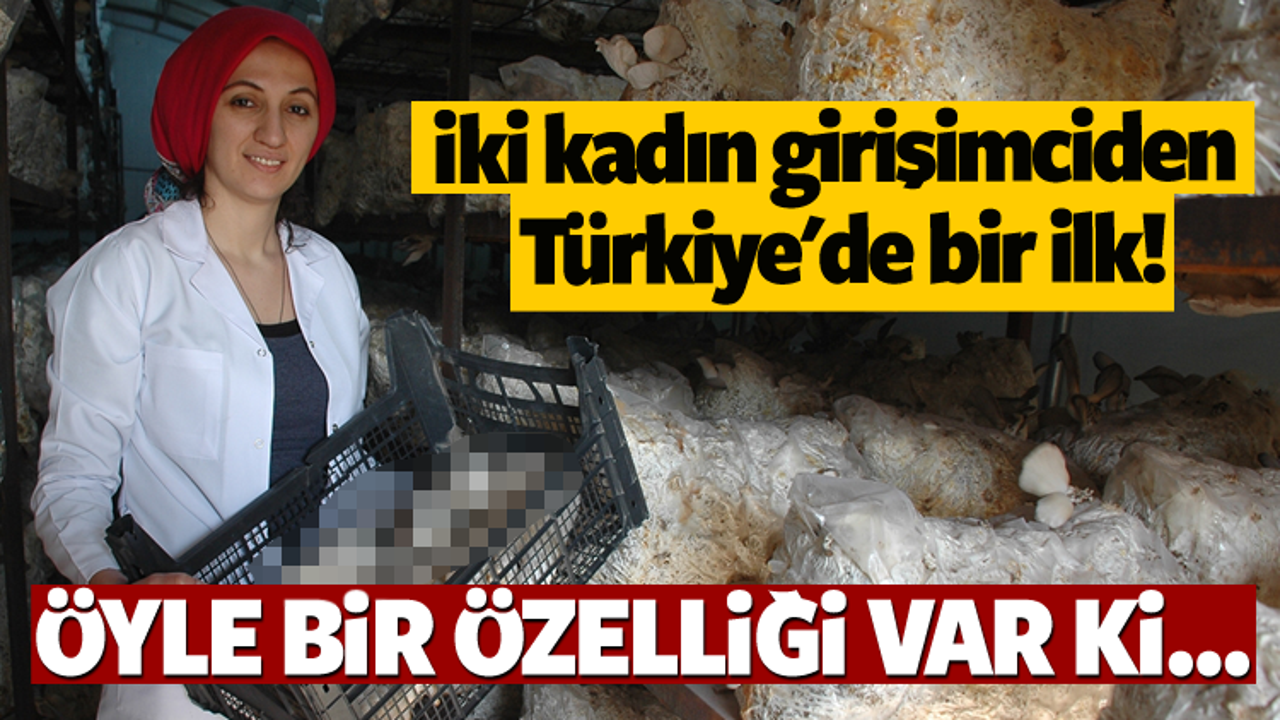 İki kadın girişimciden Türkiye'de bir ilk!