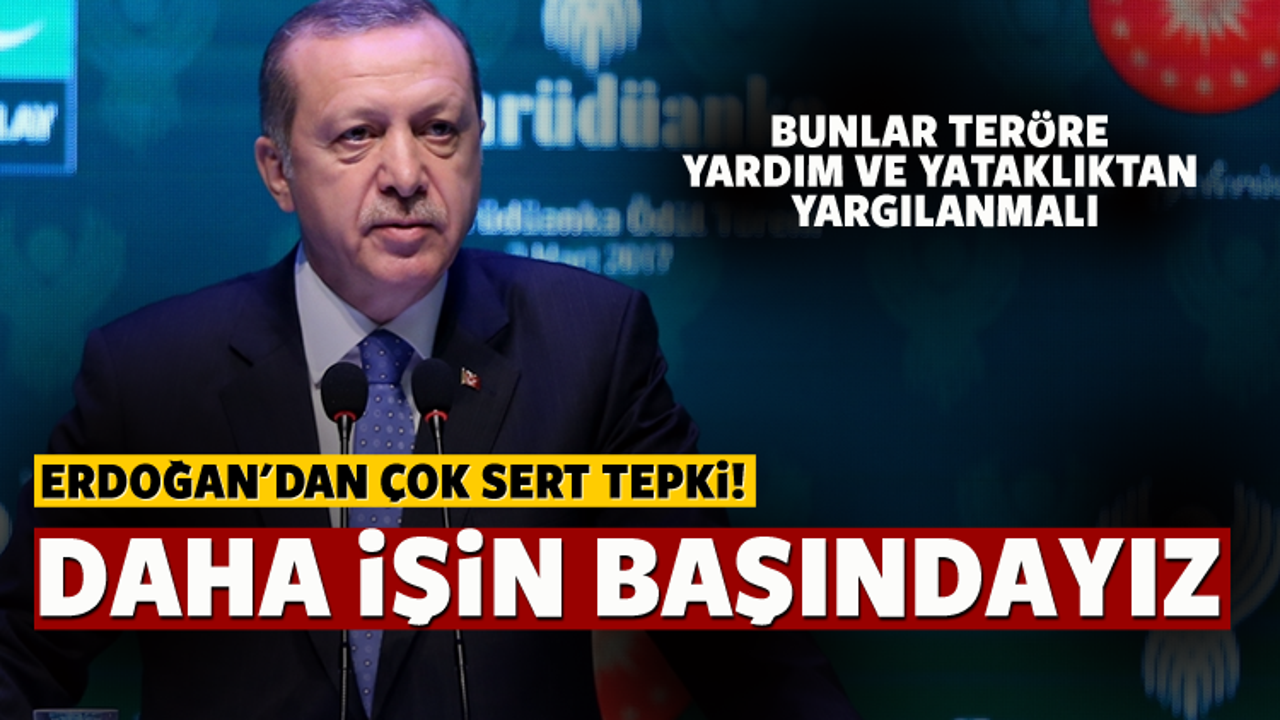 Erdoğan'dan Almanya'ya: Daha işin başındayız!