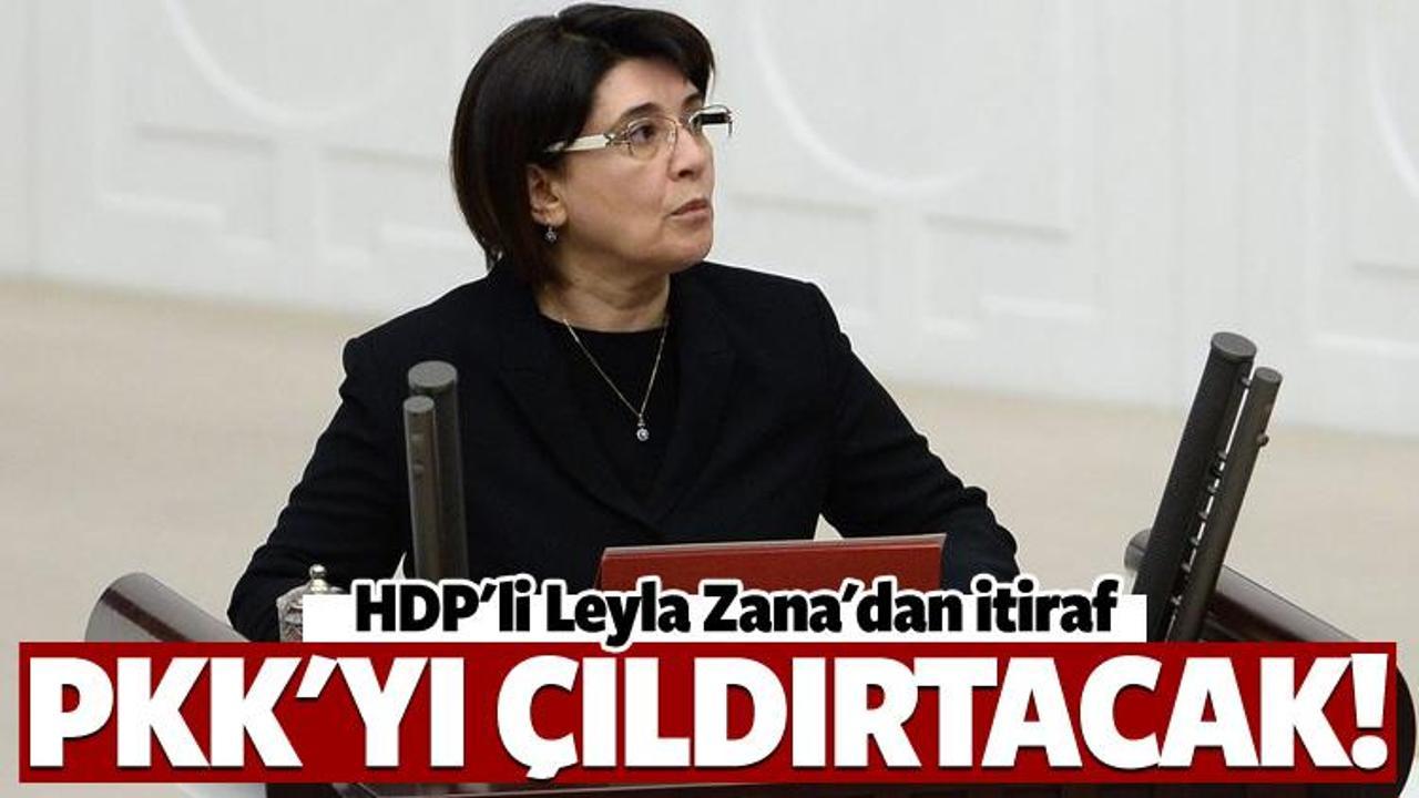 "Leyla Zana 'PKK'yı 20 devlet kullanıyor' dedi"