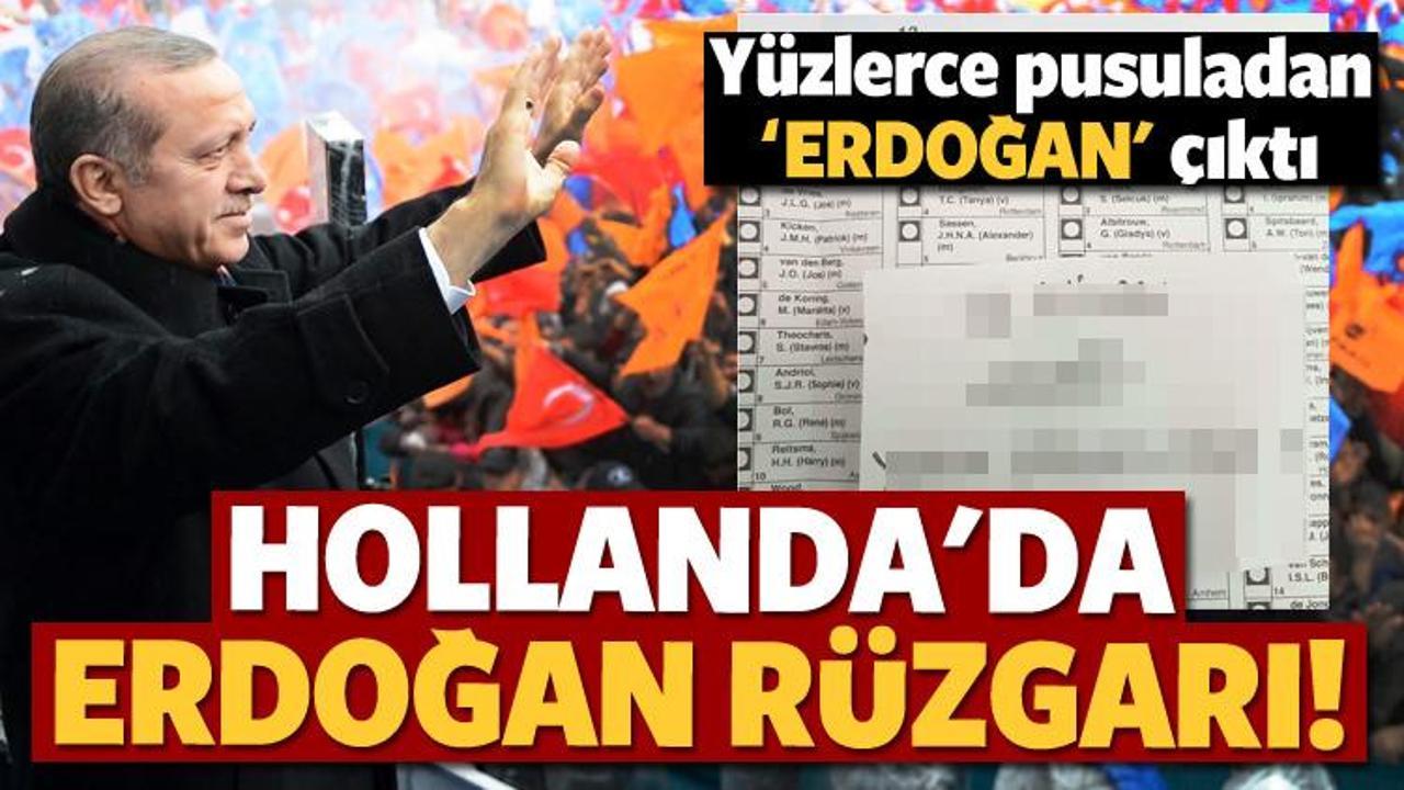 Hollanda'da sandıktan 'Recep Tayyip Erdoğan' çıktı