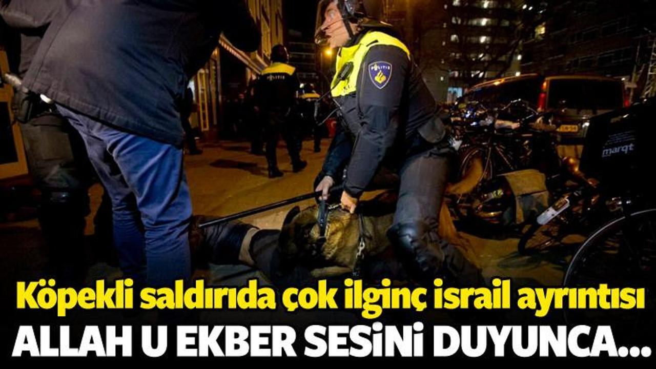 K&ouml;pekli saldırıda &ccedil;ok ilgin&ccedil; İsrail ayrıntısı