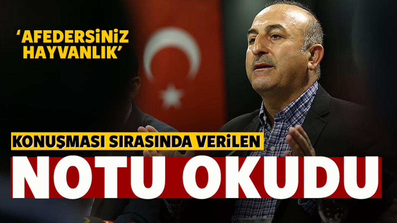 Çavuşoğlu: Afedersiniz hayvanlık...