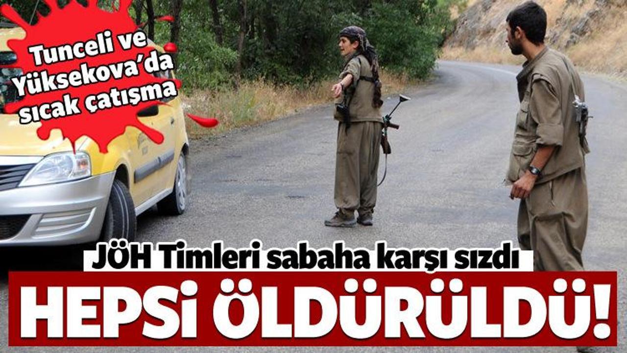 Tunceli ve Yüksekova'da PKK'ya tarihi darbe! 
