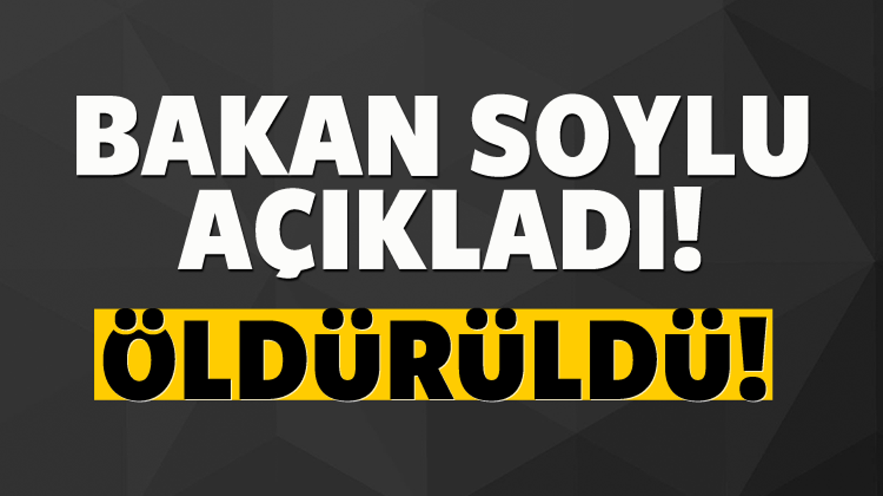 Bakan Soylu a&ccedil;ıkladı: &Ouml;ld&uuml;r&uuml;ld&uuml;