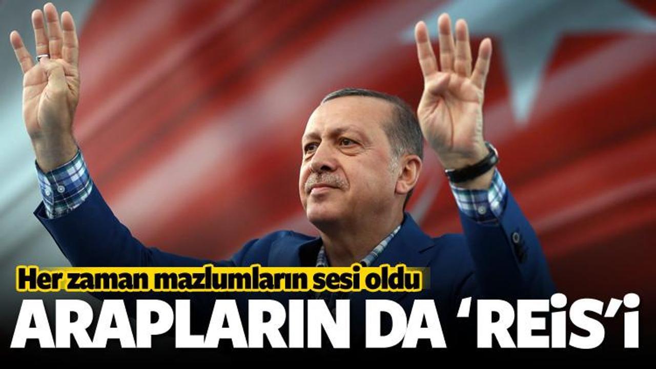 Erdoğan Arapların da 'Reis'i