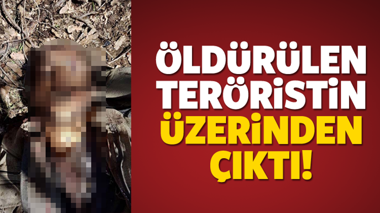 Şırnak'ta öldürülen teröristin boynundan çıktı!