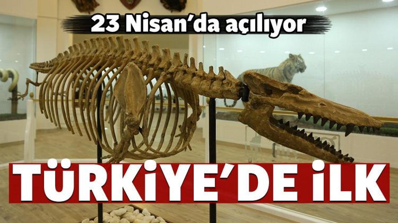 Türkiye'nin ilk zooloji ve doğa müzesi açılıyor!