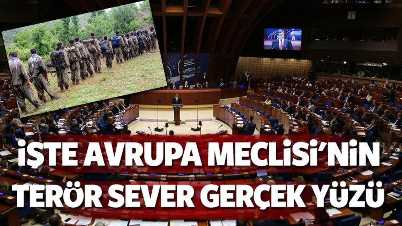 AKPM, PKK'yı terör listesinden çıkarmıştı