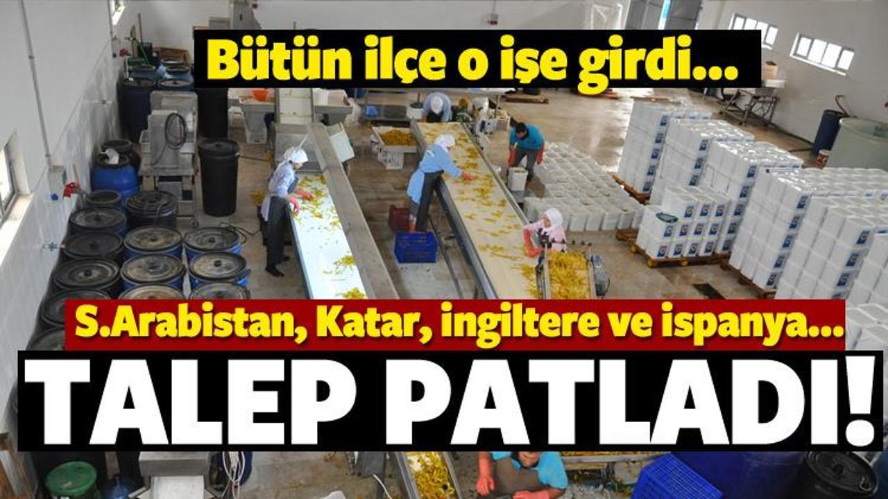 "Ev tipi turşu" ile d&uuml;nya sofralarına girdi