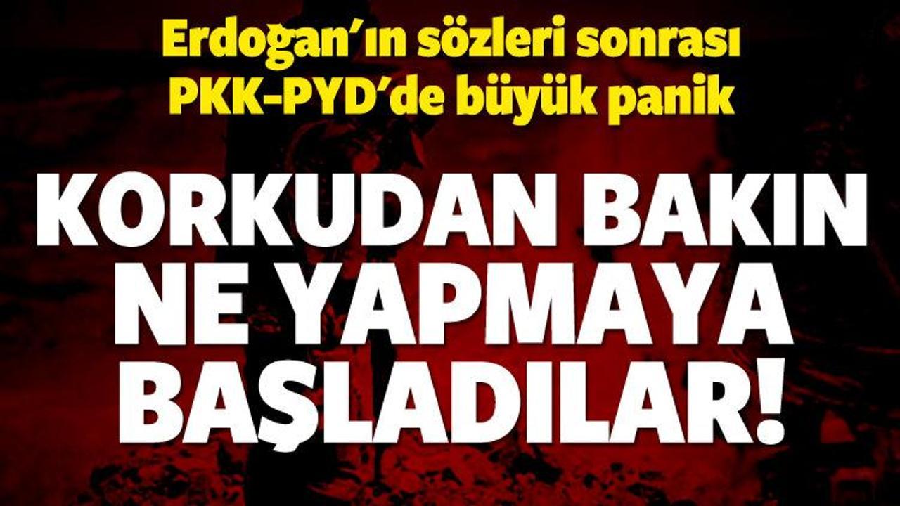 PKK/PYD'de Tel Abyad paniği
