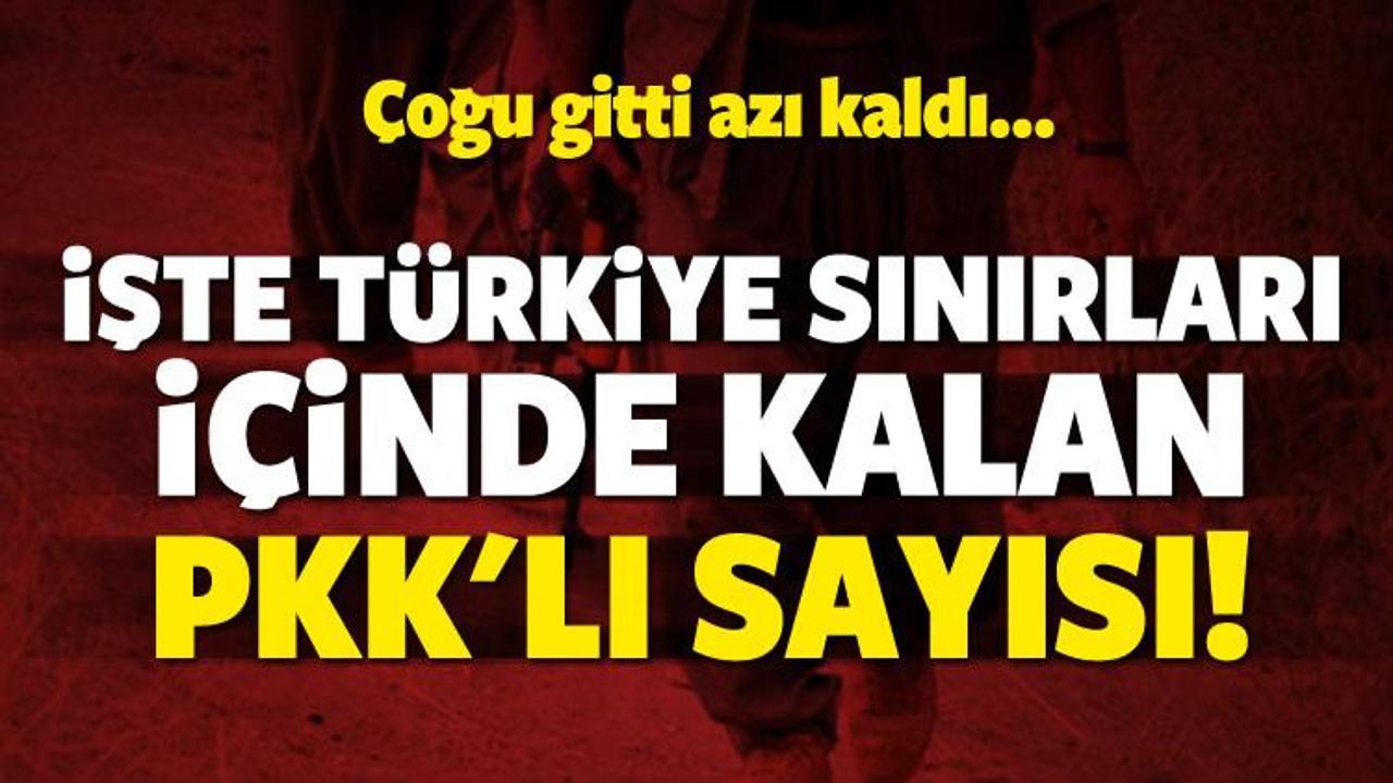 İşte Türkiye sınırları içinde kalan PKK'lı sayısı