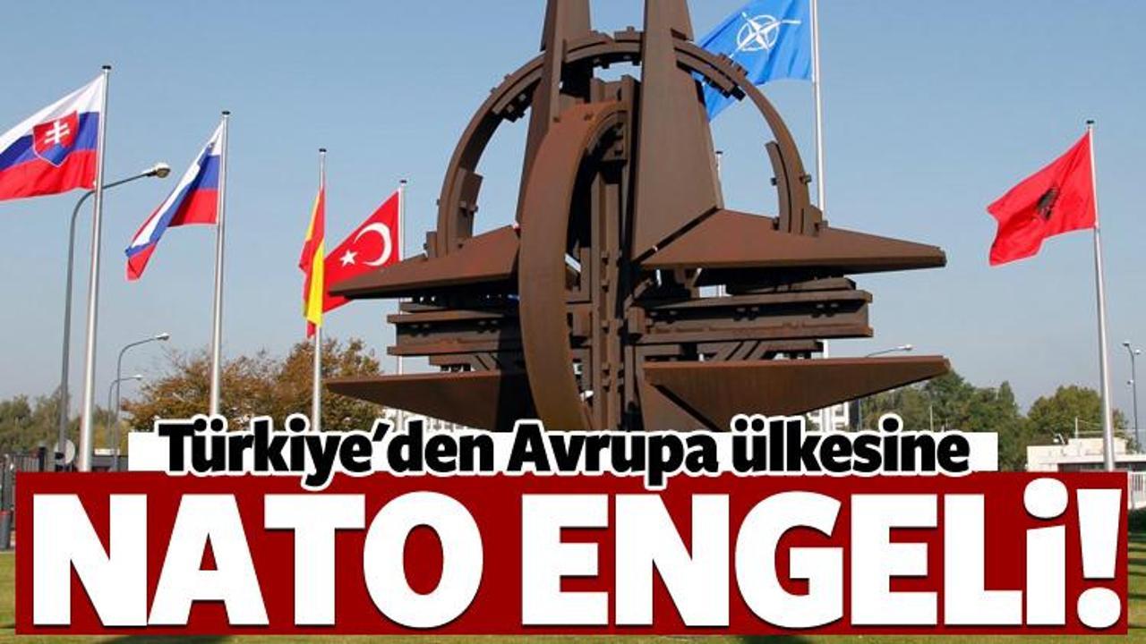 Türkiye'den NATO'ya Avusturya resti! Çıkarın