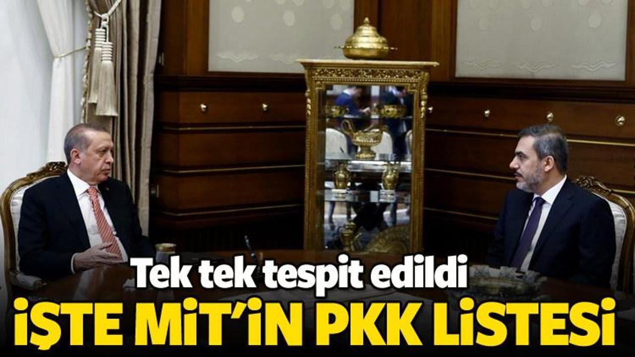 İstihbaratın ulaştığı PKK listesi ortaya çıktı!