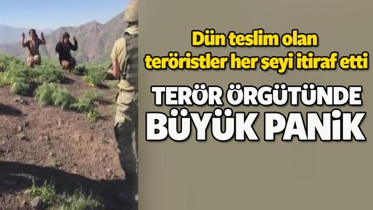 PKK'dan ka&ccedil;mak isteyenler yalanlarla engelleniyor