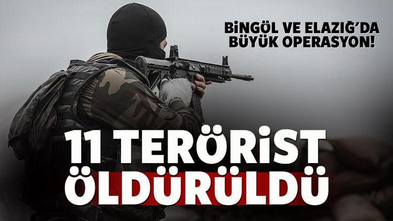Bingöl ve Elazığ'da operasyon: 11 PKK'lı öldürüldü