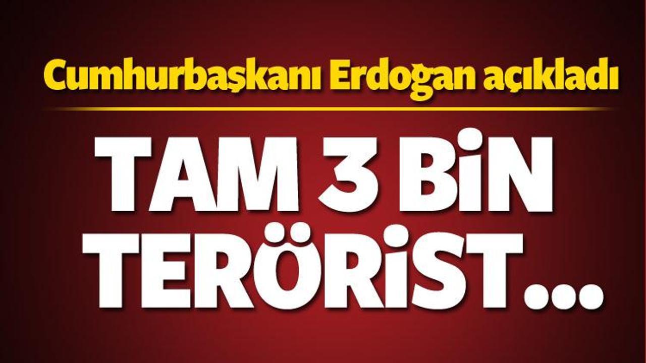 Erdoğan açıkladı: Tam 3 bin terörist...