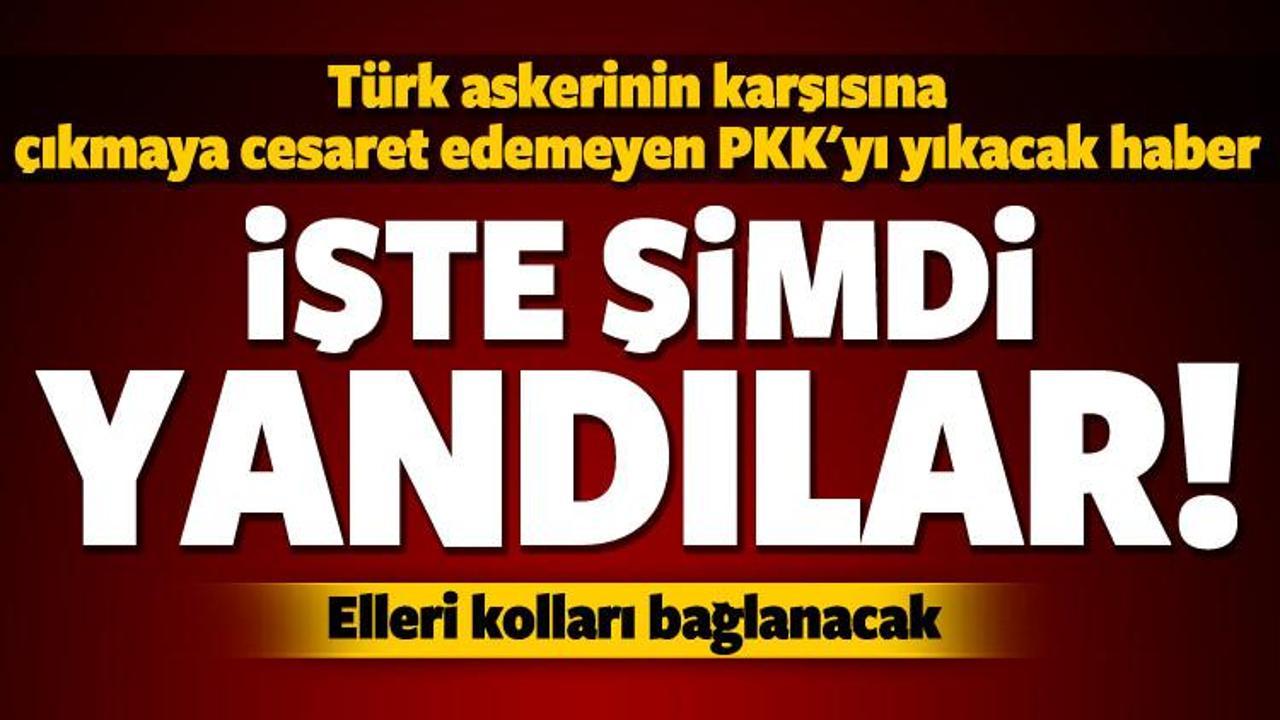 PKK'nın elini kolunu bağlayacak haber! Geliyor