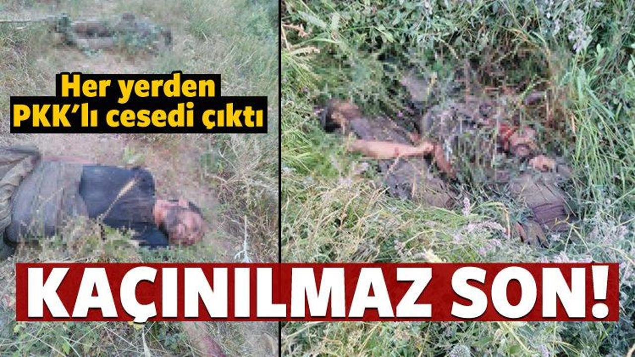 PKK'lı hainlerin sonu!