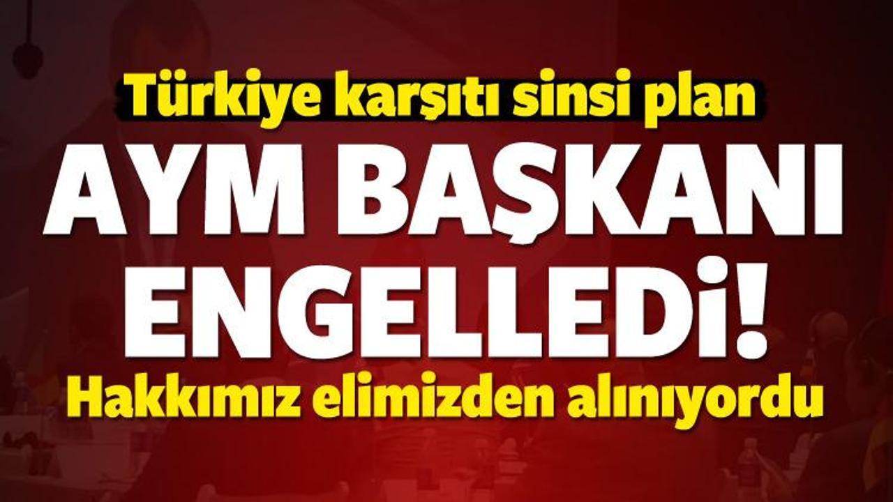 Türkiye karşıtı planı AYM Başkanı engelledi!