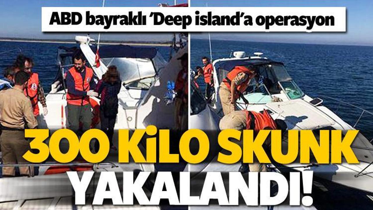 'Deep İsland'a operasyon: 300 kilo skunk yakalandı