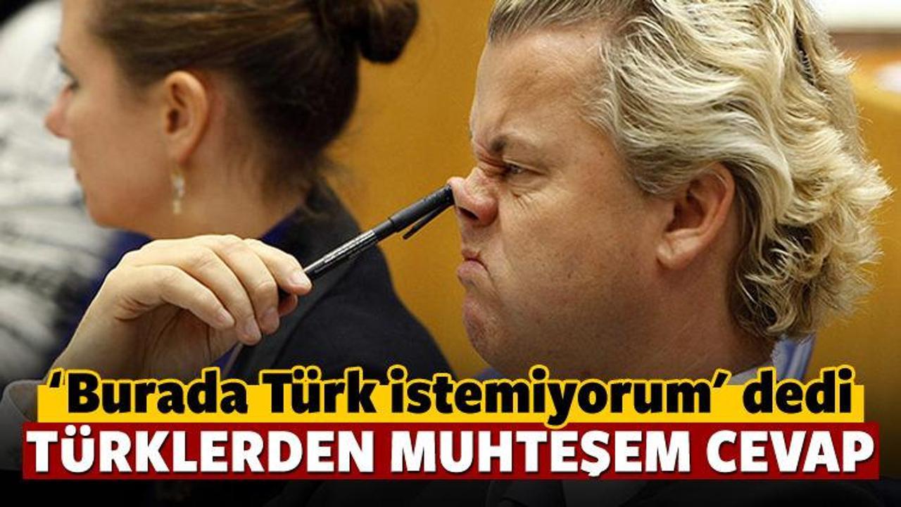 Türk istemiyorum diyen Wilders'a tokat gibi yanıt
