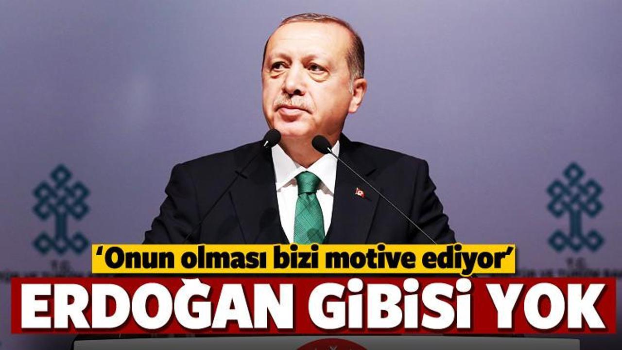 'Diğer ülkelerde Erdoğan gibisi yok'