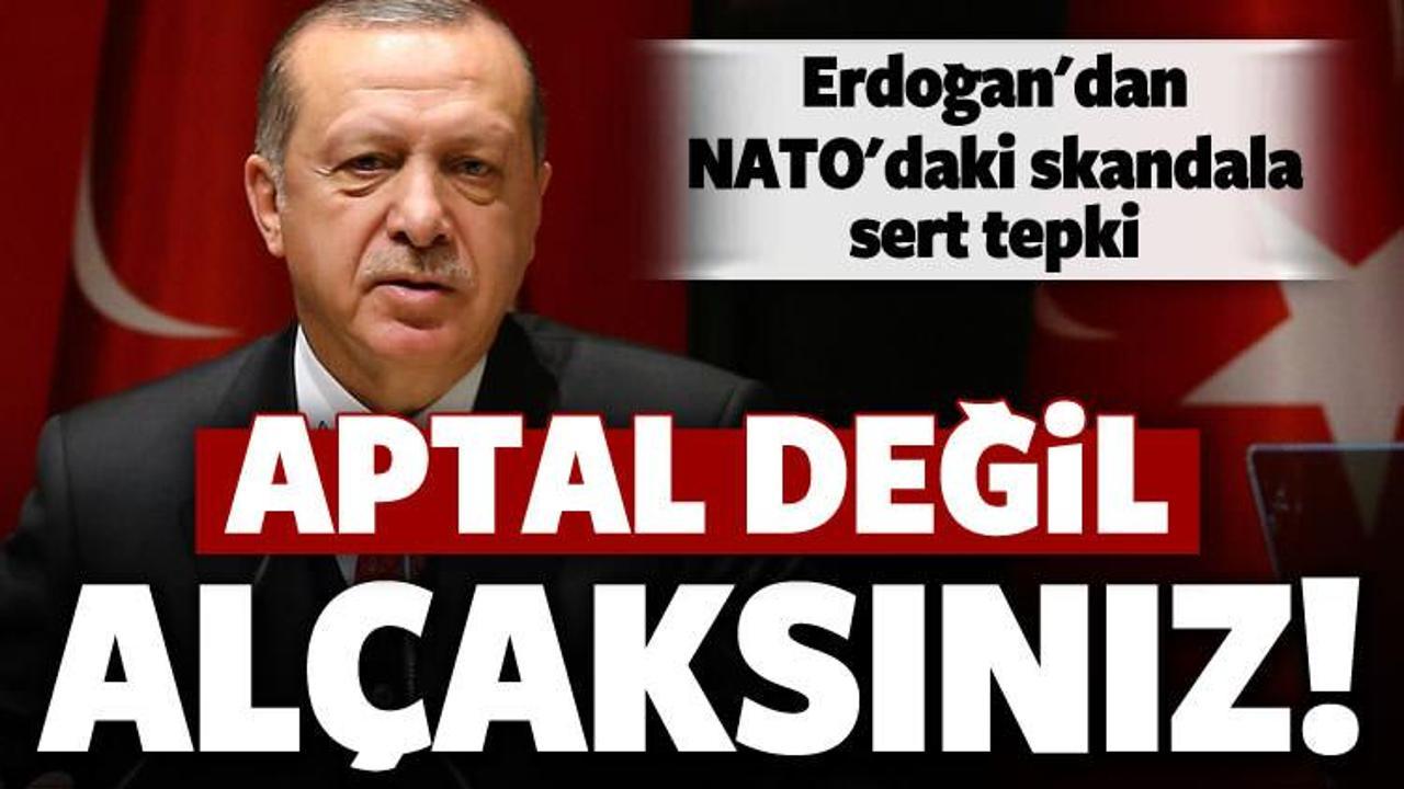 Erdoğan'dan NATO'daki skandalla ilgili sert sözler