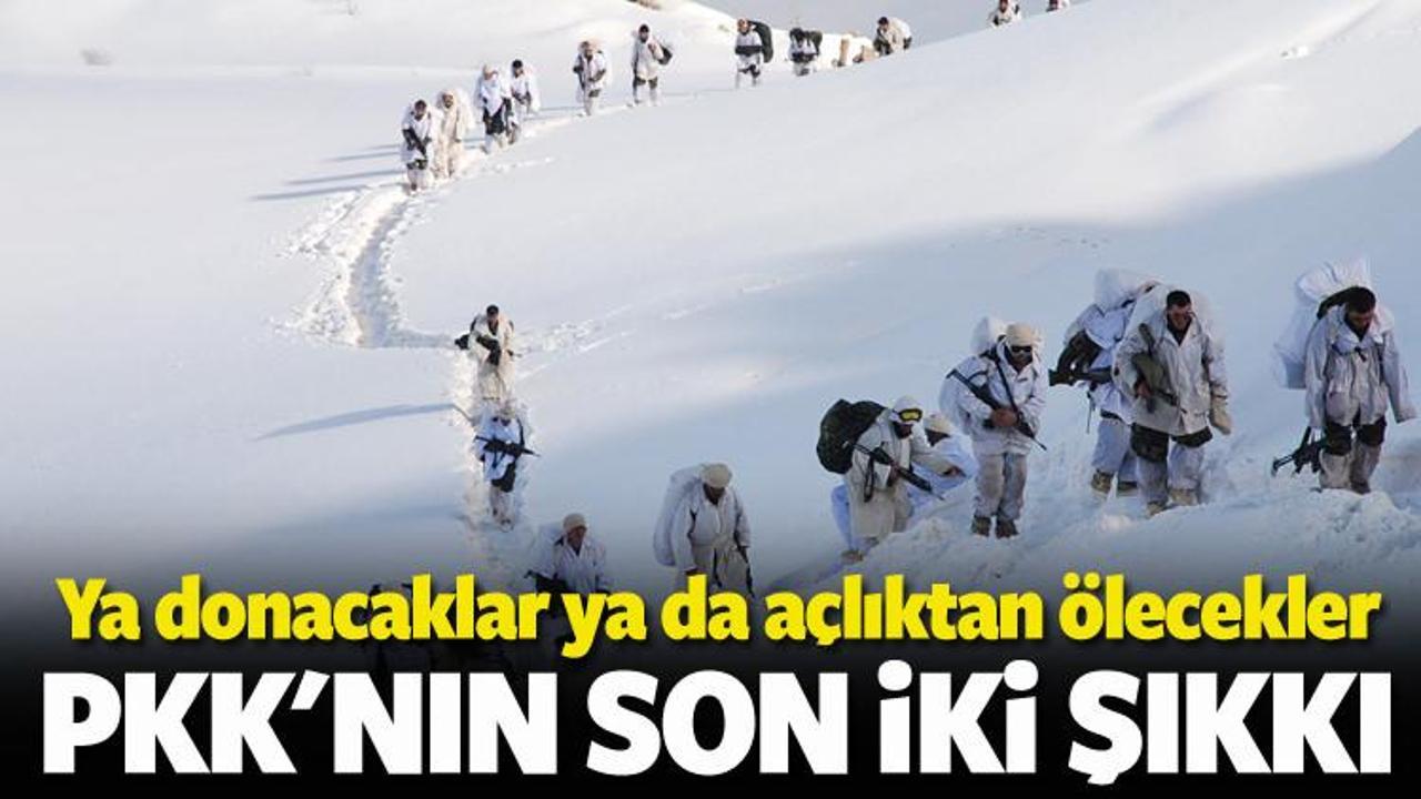 Hükümet'ten açıklama: PKK bu kış bitecek
