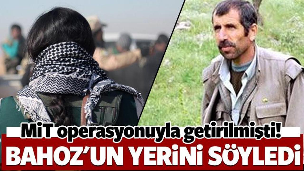 MİT'in getirdiği YPG'li Bahoz'un yerini söyledi