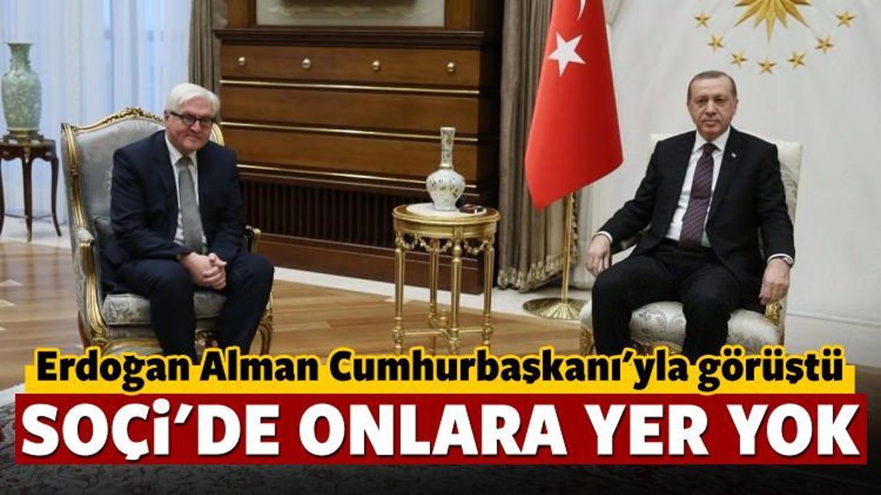 Cumhurbaşkanı Erdoğan Steinmeier ile görüştü