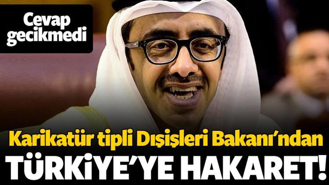 BAE Dışişleri Bakanı'ndan Türkiye'ye hakaret!