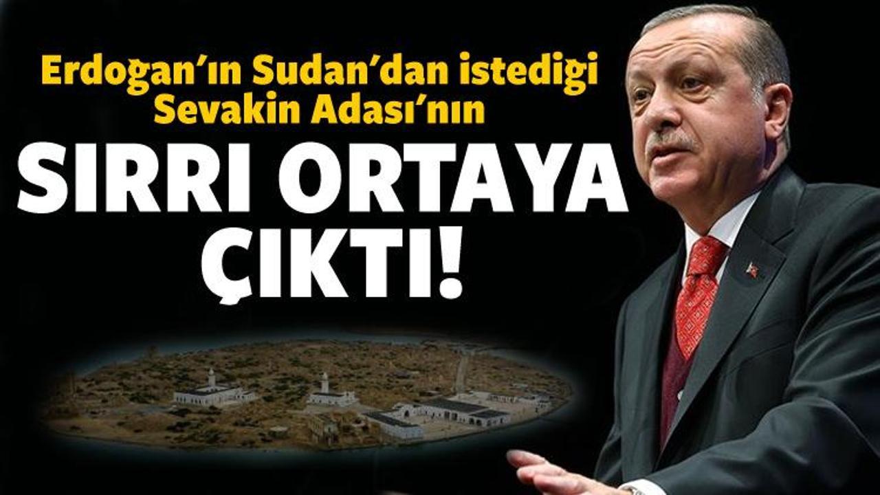 Erdoğan'ın istediği Sevakin Adası'nın önemi