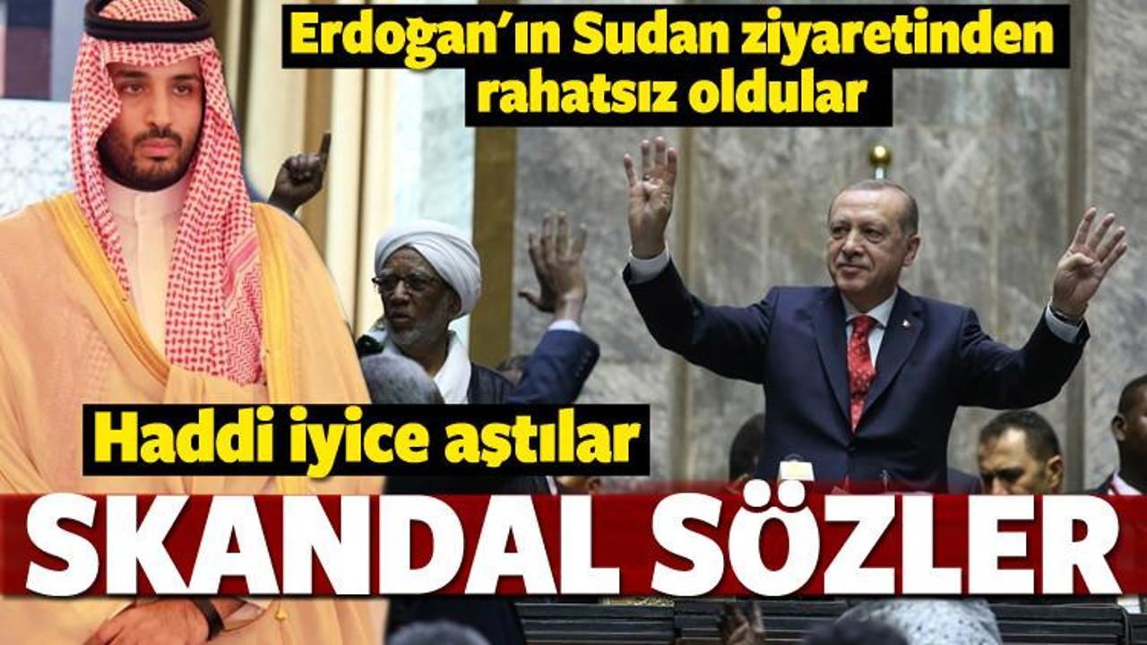 Erdoğan'ın Sudan ziyaretinden rahatsız oldular