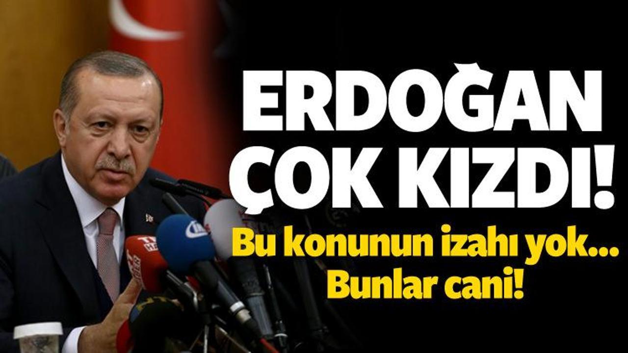 Cumhurbaşkanı Erdoğan'dan tepki: Bunlar cani!