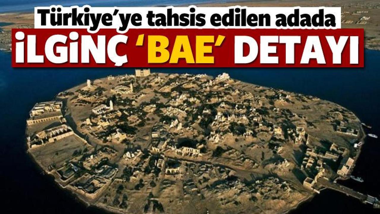 Türkiye'ye tahsis edilen adada ilginç BAE detayı