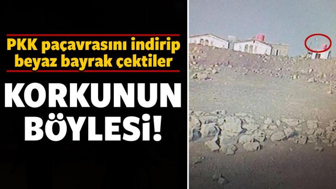 Korkunun böylesi: YPG beyaz bayrak çekti