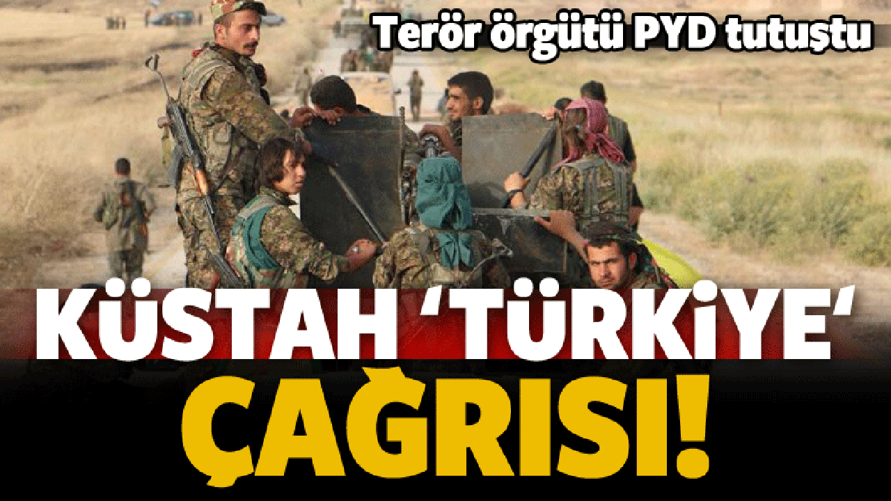 PYD'den dünyaya küstah 'Türkiye' çağrısı!