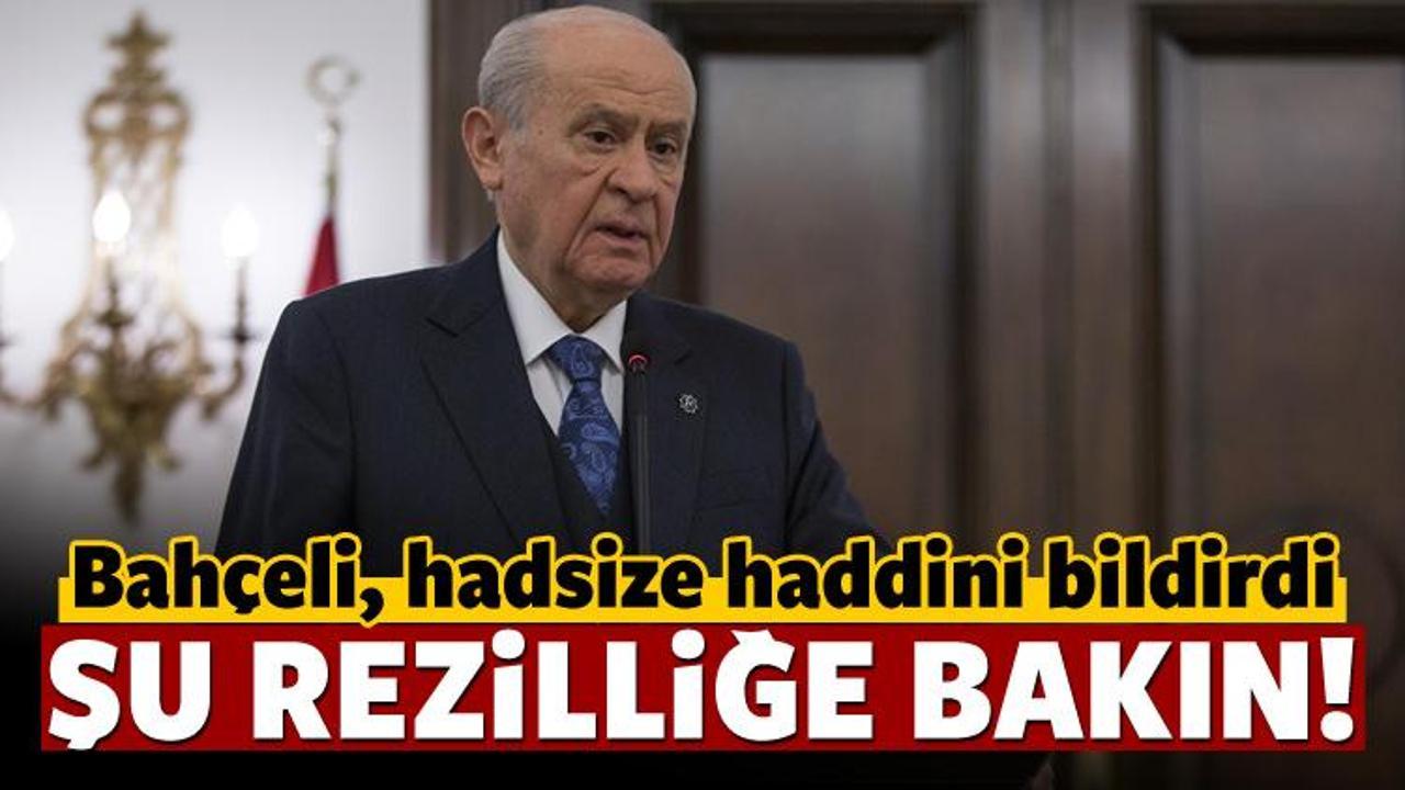 Bahçeli'den Zeytin Dalı harekatı mesajı