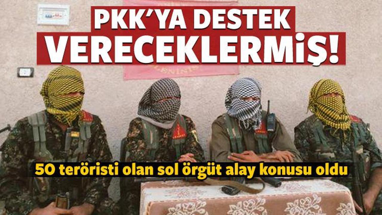 Sol örgütten YPG'ye terörist desteği!