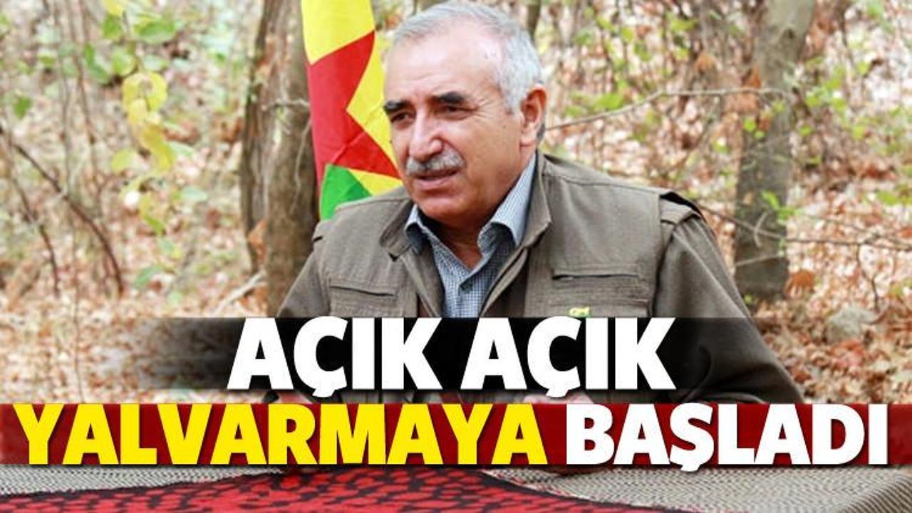 Terör örgütü PKK yalvarmaya başladı