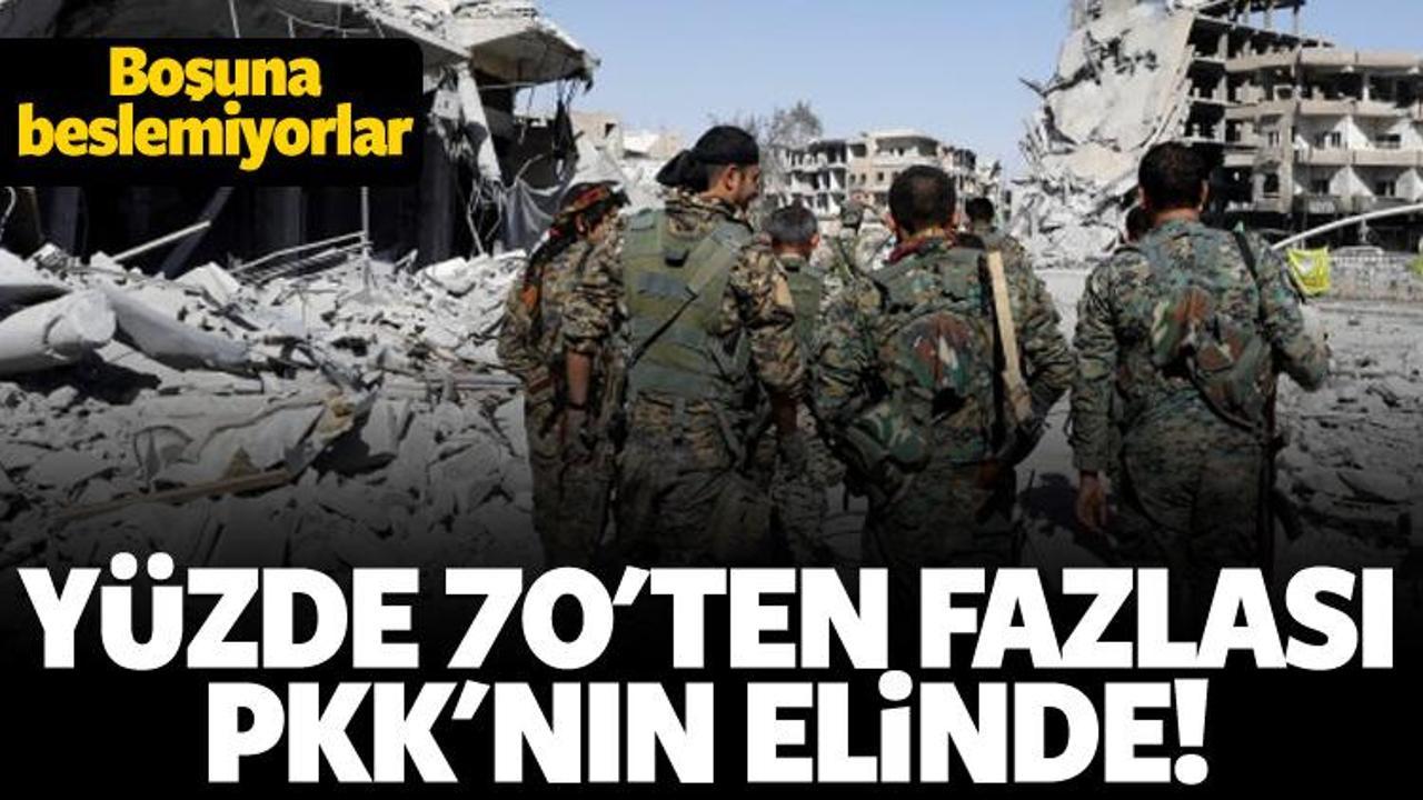 Kaynakların yüzde 70'ten fazlası PKK'nın elinde!