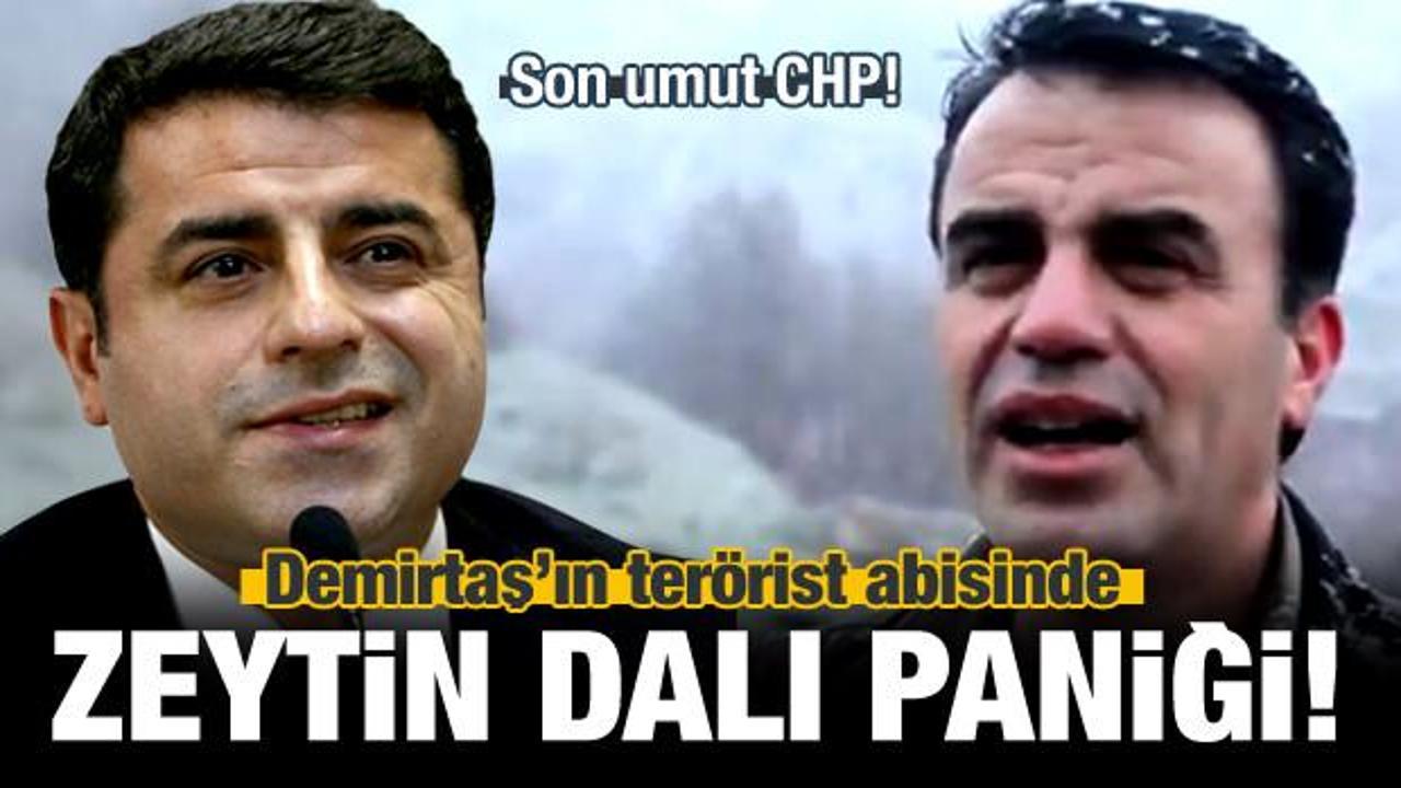 Demirtaş'ın ter&ouml;rist abisinin Afrin paniği! 