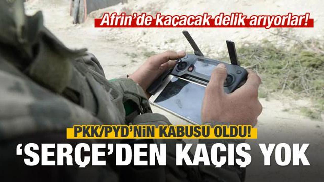 Serçe’den kaçış yok! PKK/PYD'nin kabusu oldu