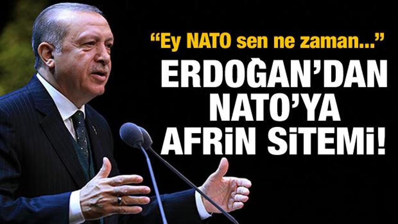 Erdoğan: Ey NATO sen ne zaman...