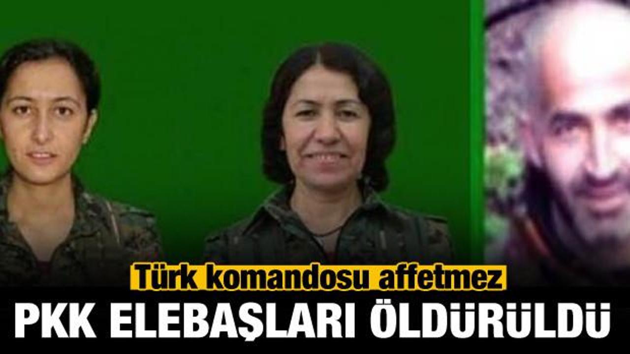 PKK'nın elebaşları öldürüldü!
