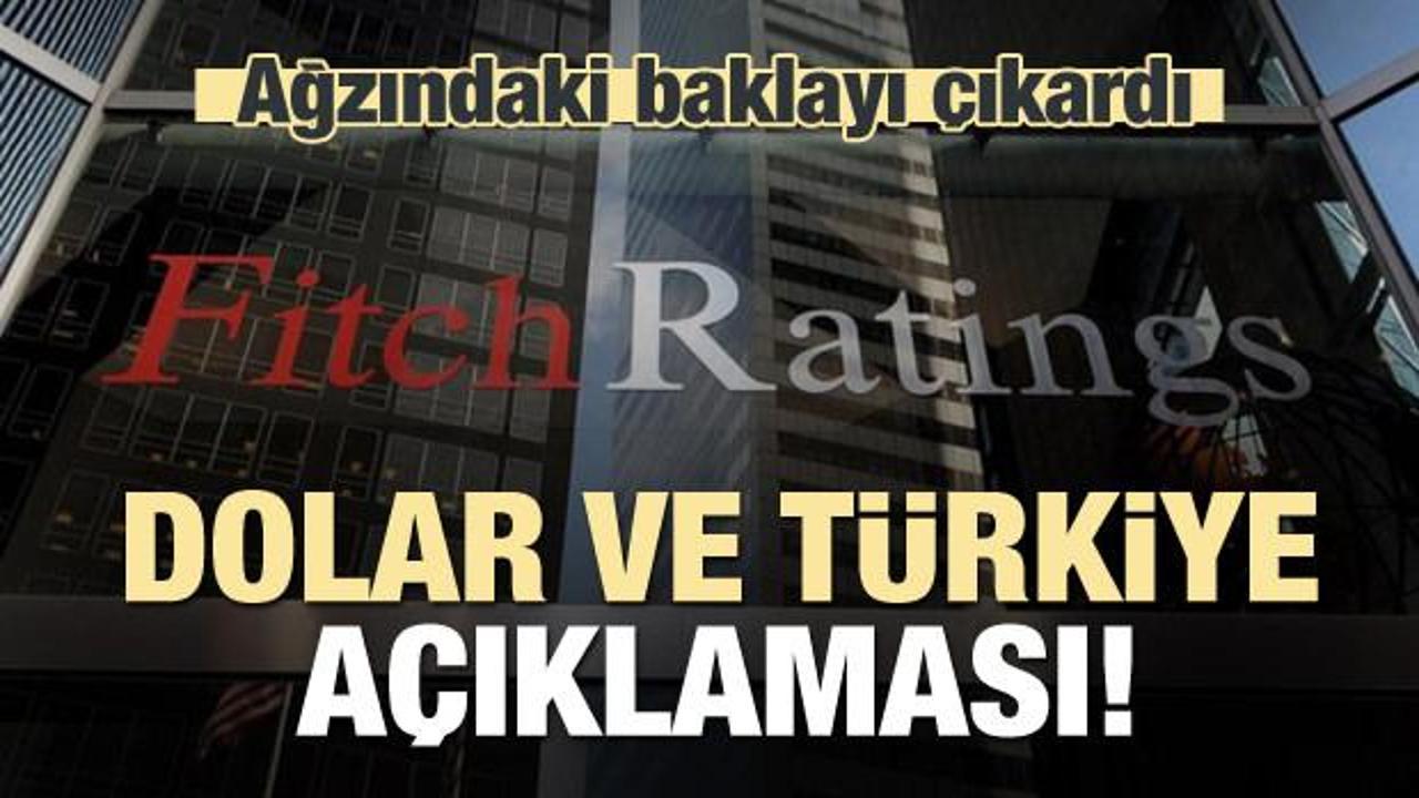 Fitch'ten dolar ve Türkiye açıklaması