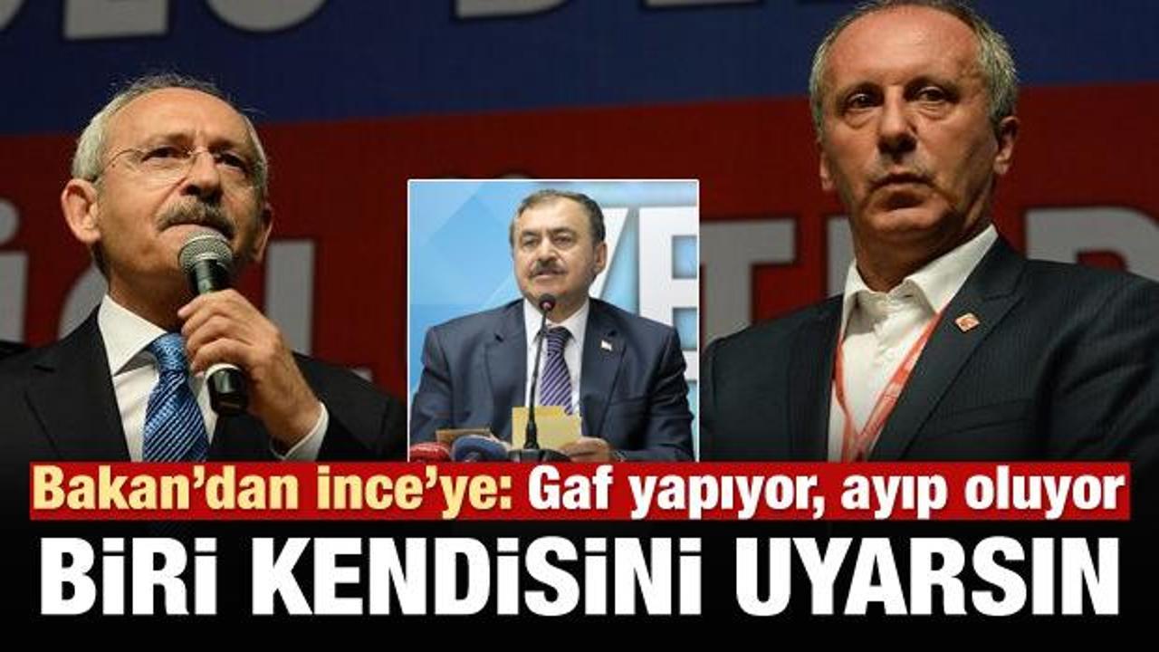 Bakan Eroğlu: İnce'yi biri uyarsın, gaf yapıyor!