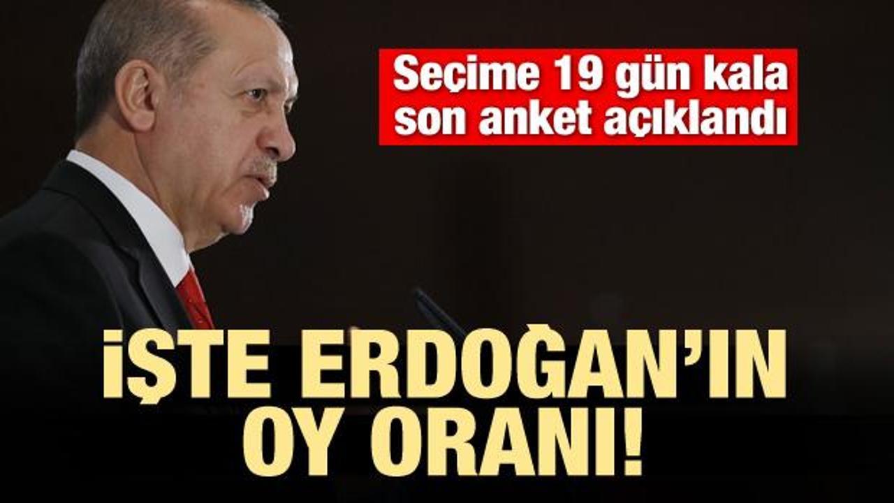 Seçime 19 kala son anket! İşte Erdoğan'ın oy oranı