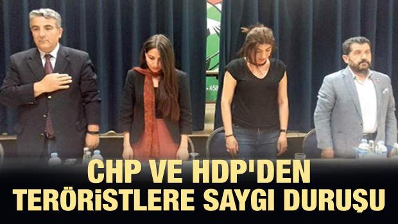 CHP ve HDP'den teröristlere saygı duruşu